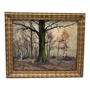 HSP of Edgard d'Hont (1861 - 1941) - an old oak