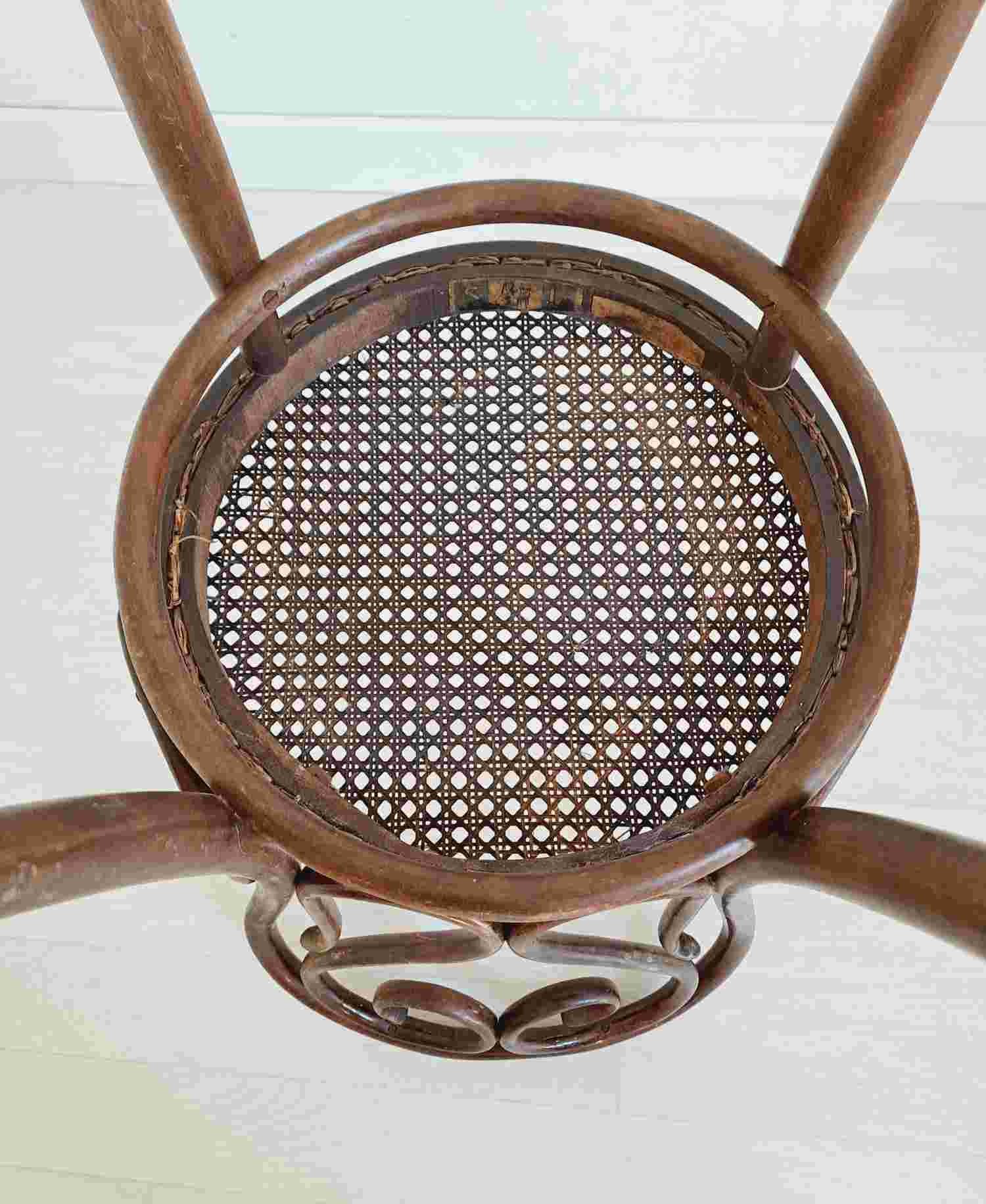 Bentwood chairs made by Sautto and Liberale