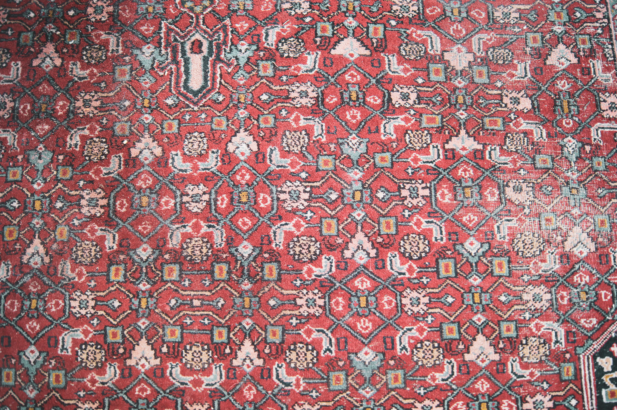 Persian Mahal Carpet 290x200