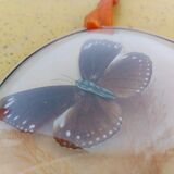 Pair of vintage butterfly frames