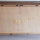 Butterflies naturalized under glass