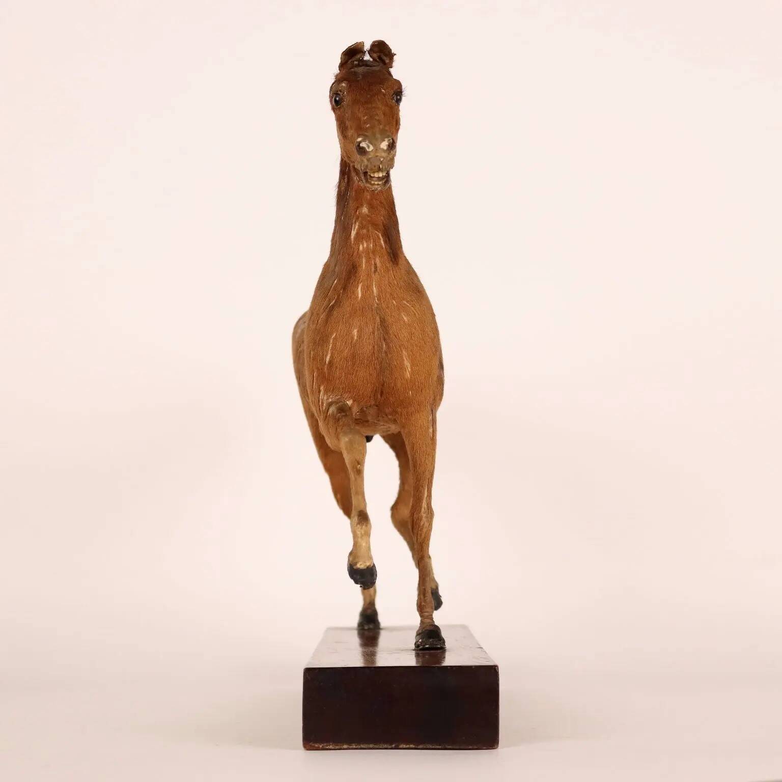 Horse sculpture by H. Fratin in wood, France, circa 1818.