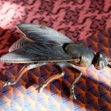 Vintage brass fly ashtray 1970