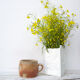 Sandstone pot