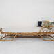 Vintage rattan daybed, The Netherlands 1960's