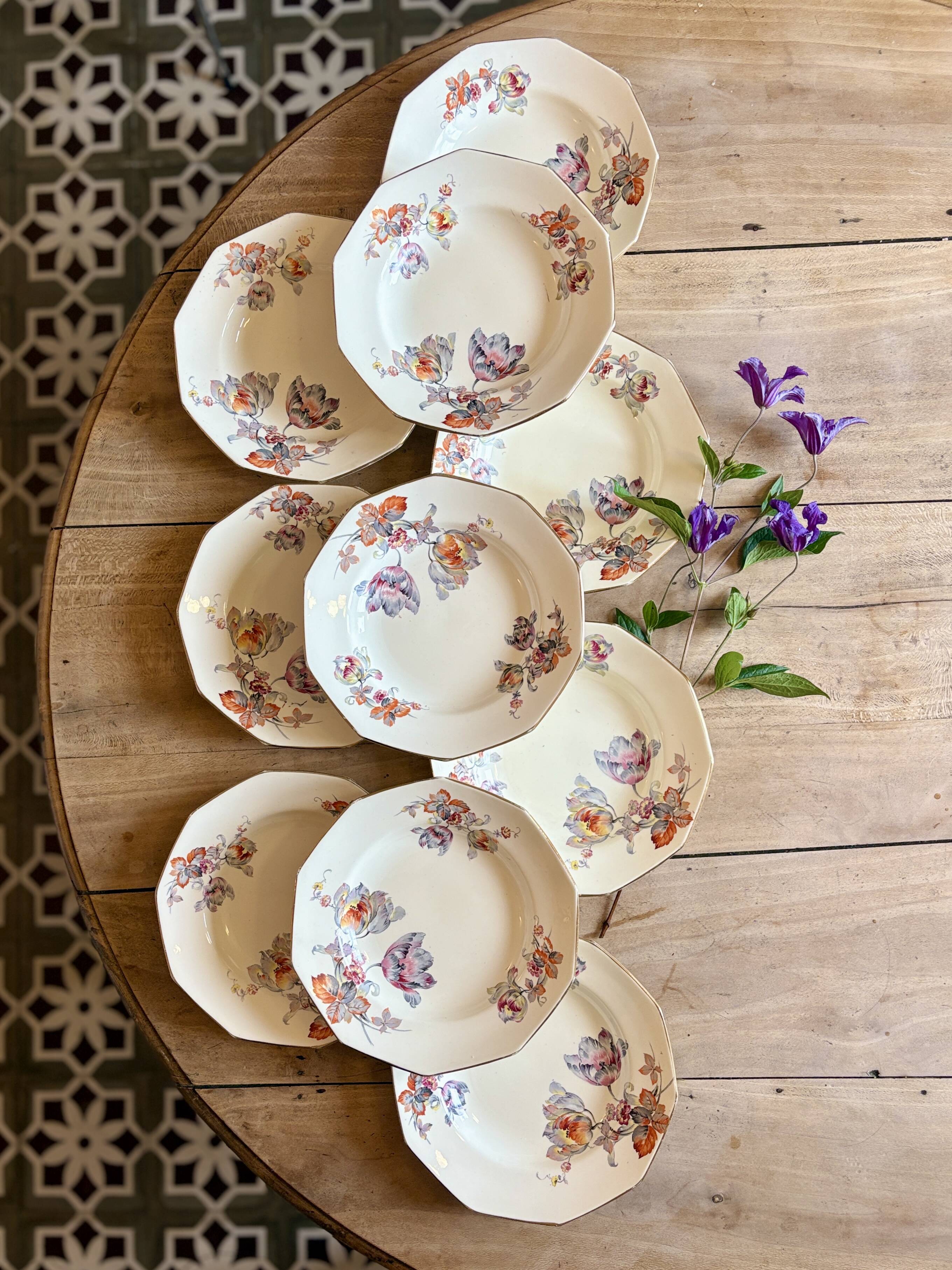 Set of 10 old hollow plates - Saint Amand in iron earth