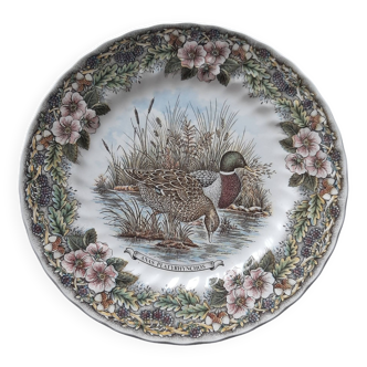 duck plate