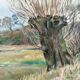 Antique original landscape oil painting, signed countryside art