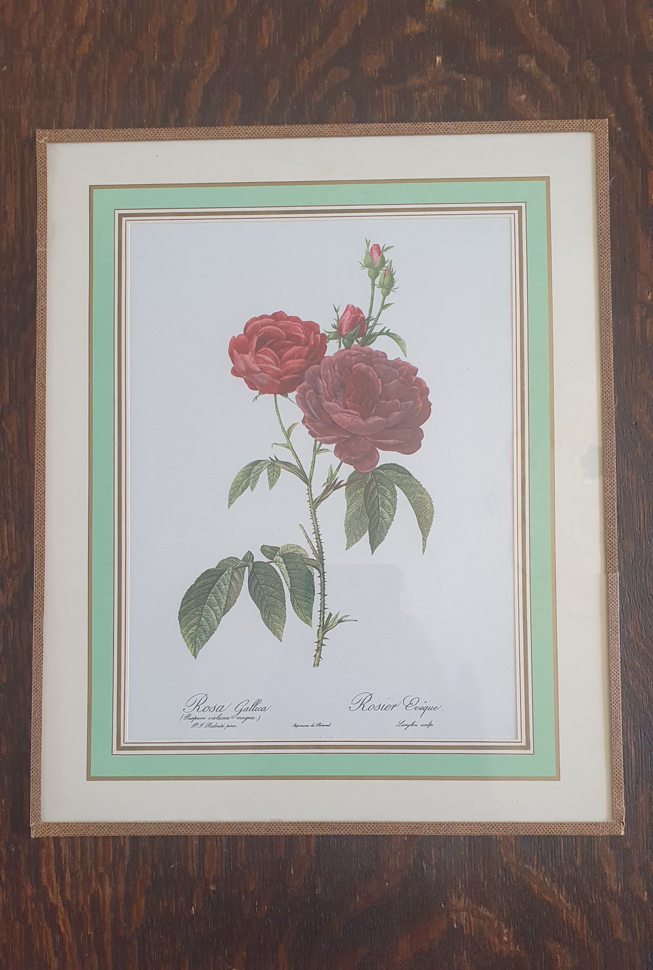 Set of 4 prints after P J Redoute