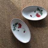 Pair of raviers