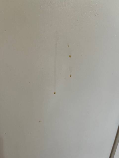 White chest of drawers