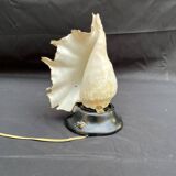 Shell Lamp