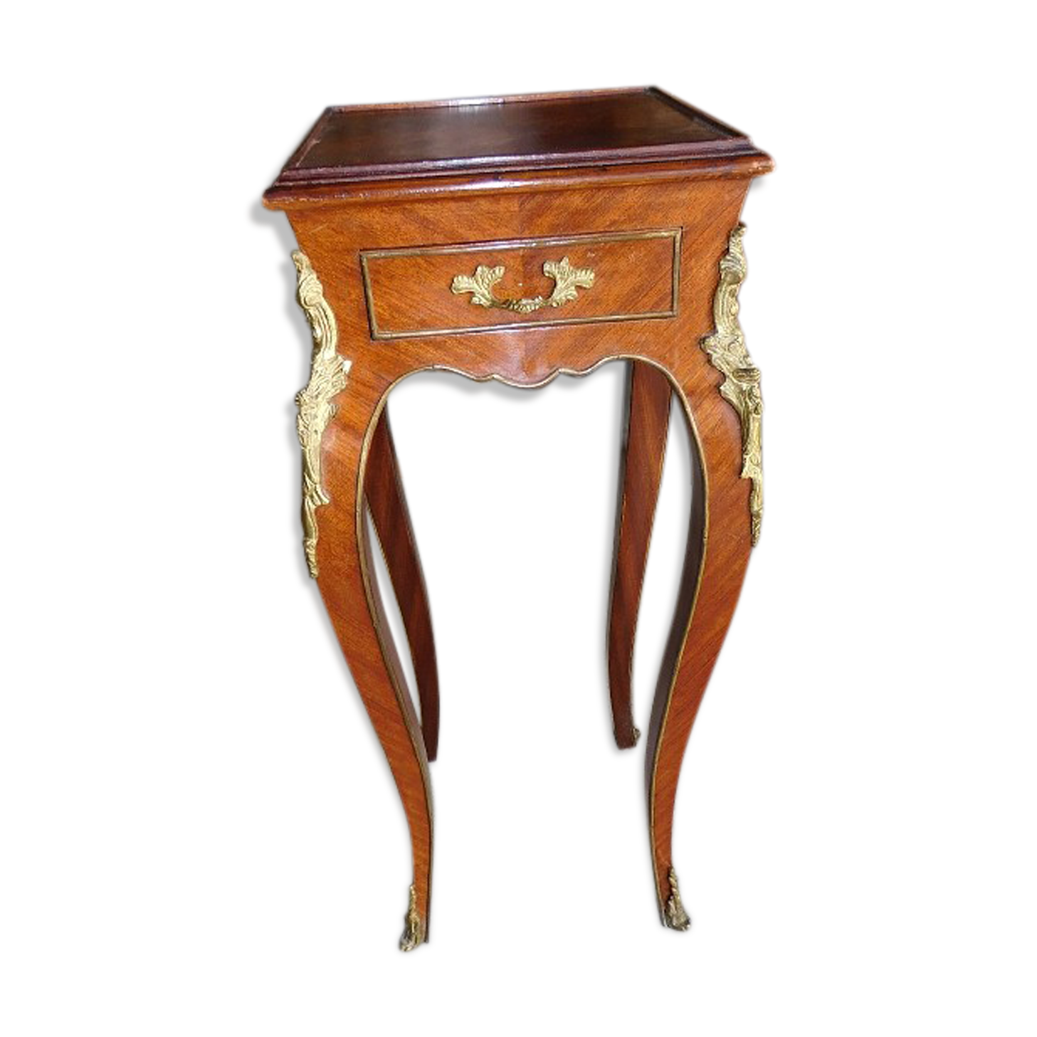 Harness in veneer and bronze