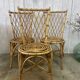 Louis Sognot rattan chairs