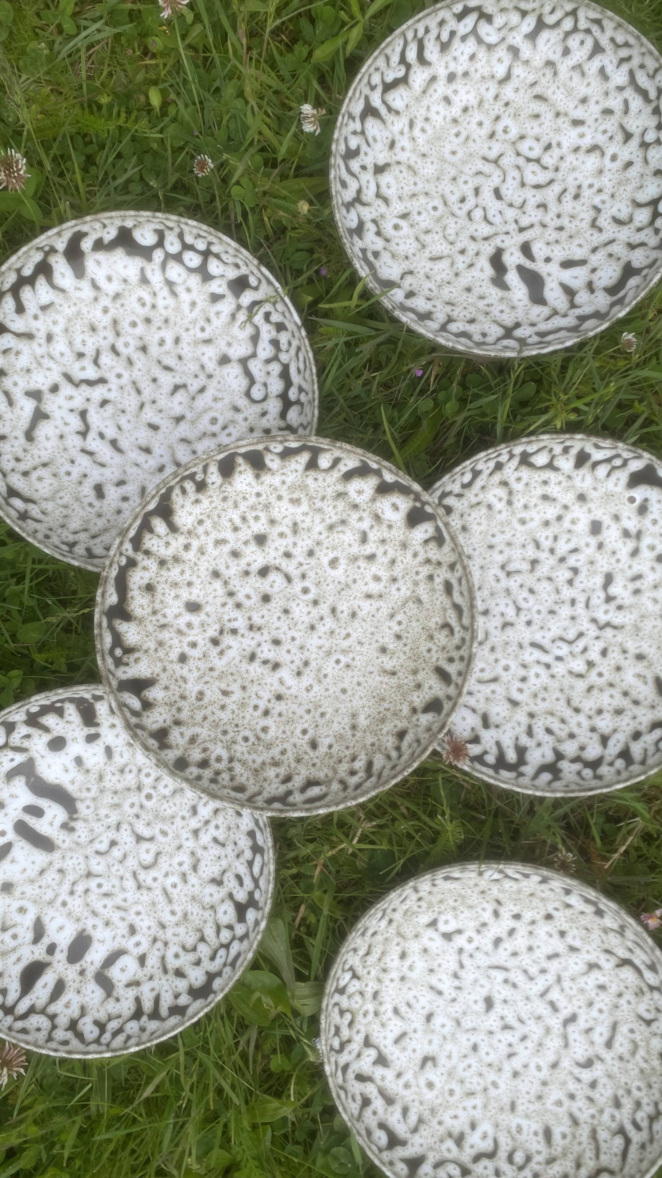 6 deep plates