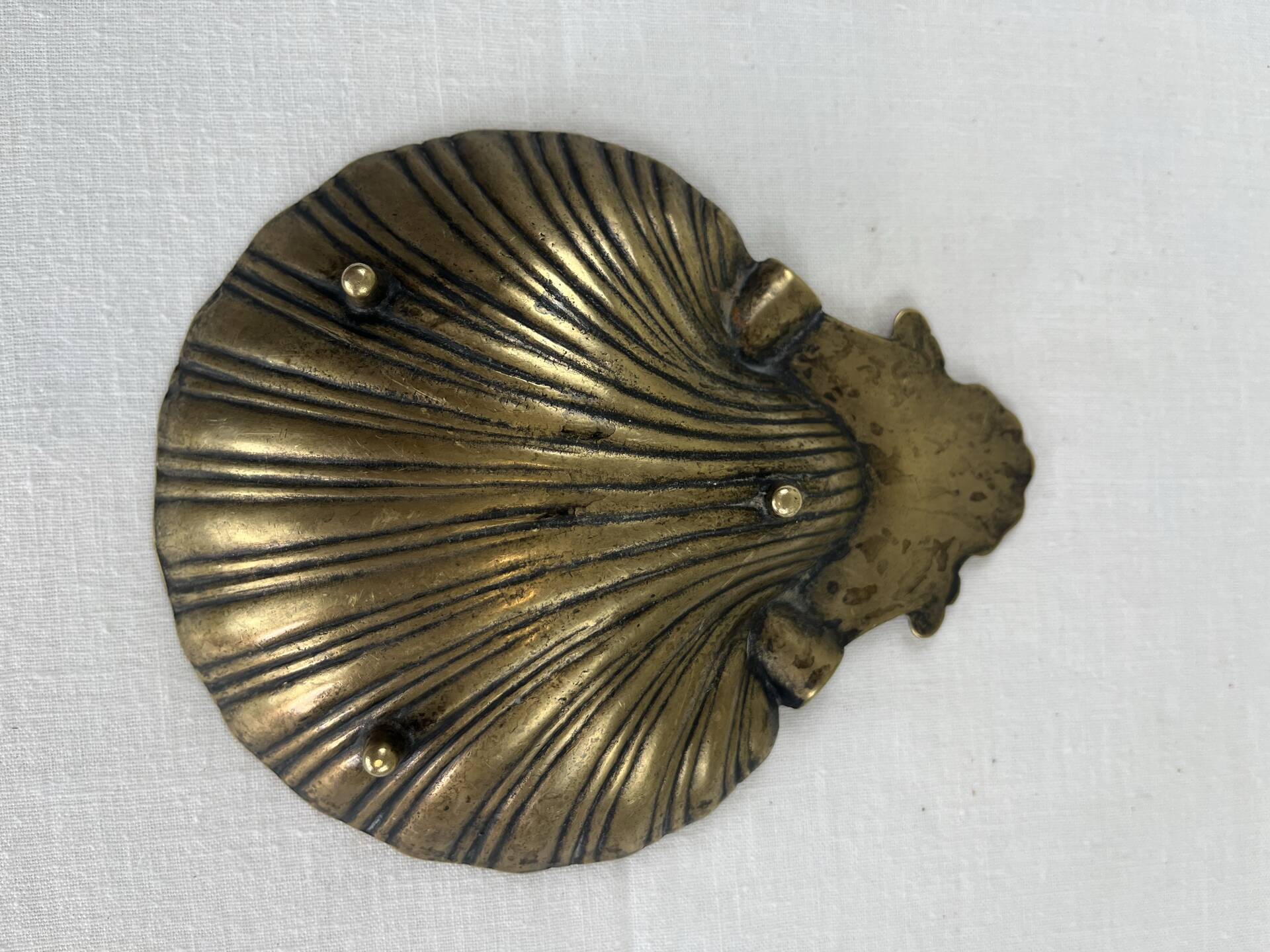 Shell-shaped catch-all tray