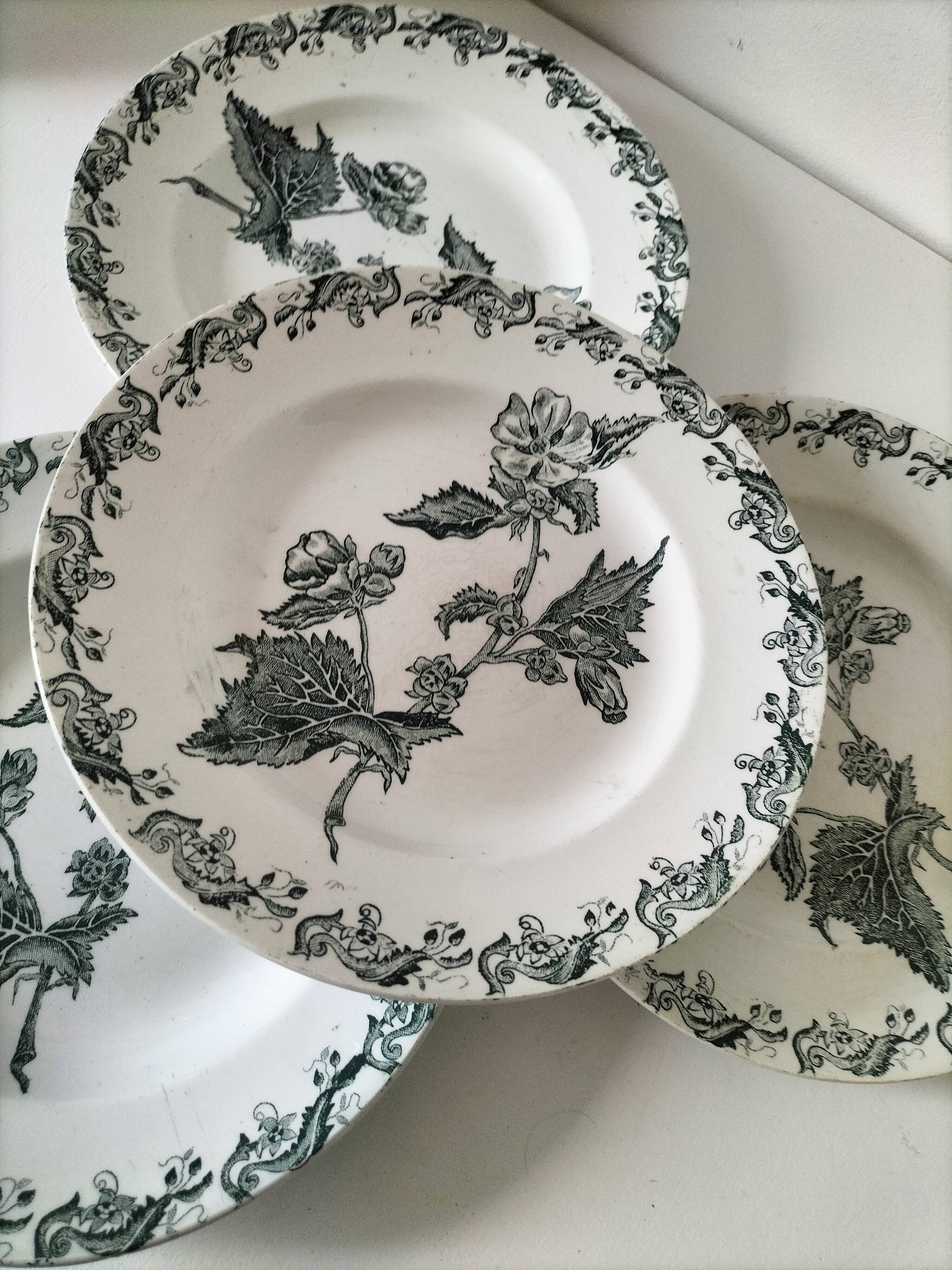 4 ironstone plates A. Lebacqz & M. Bouchart Richelieu model