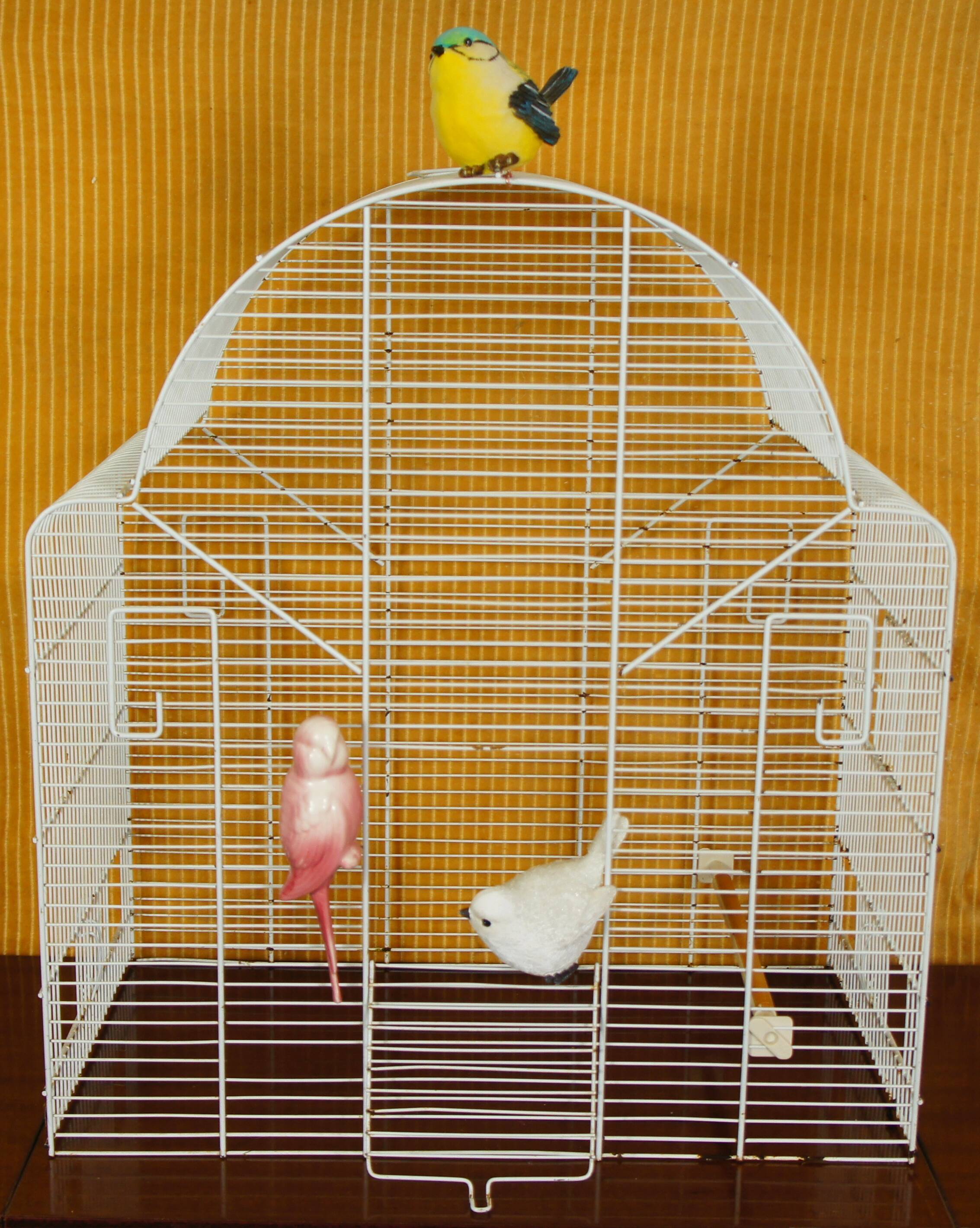 Decorative bird cage & its 3 piafs