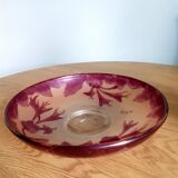 Coupe legras ruby series