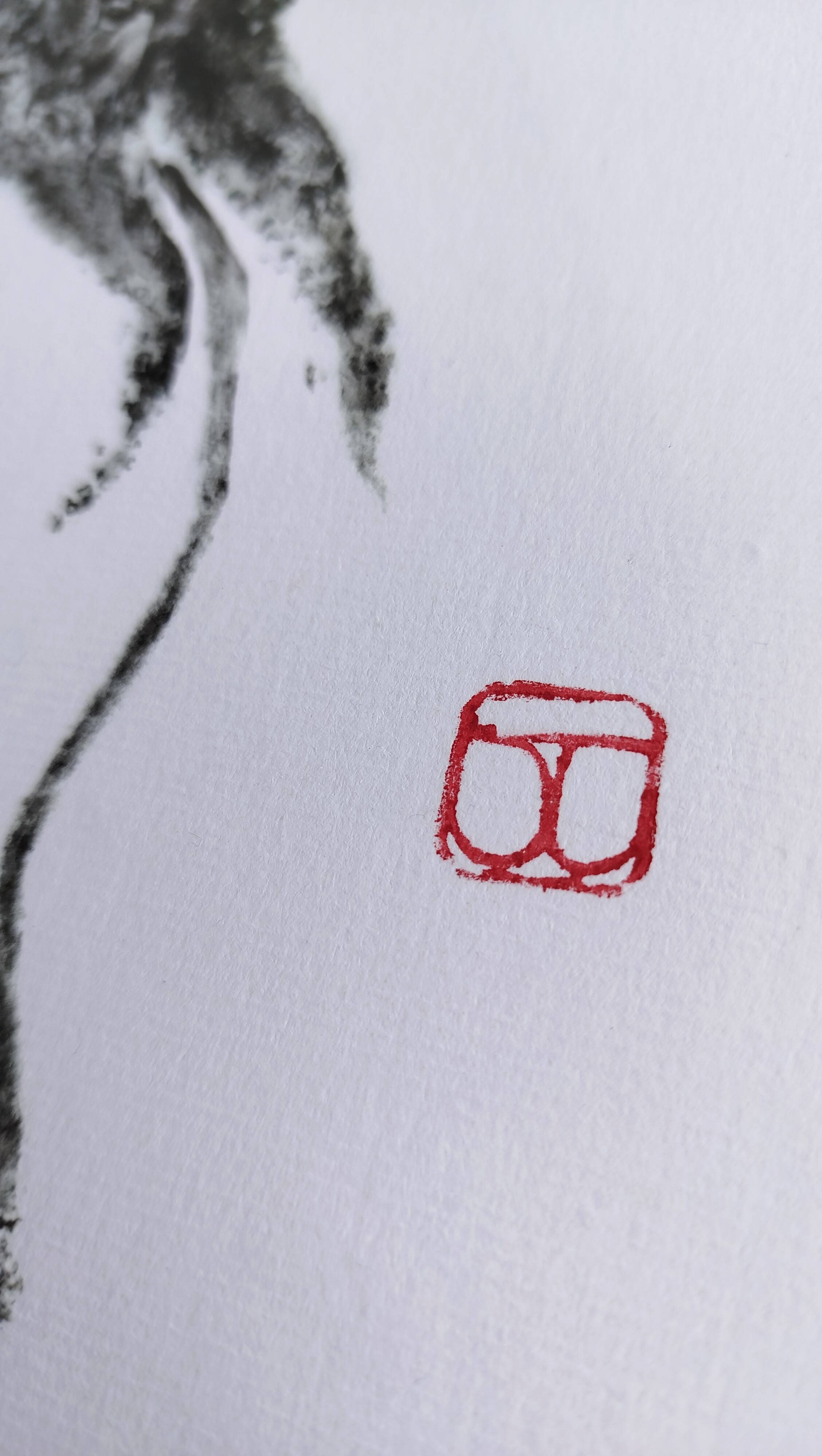 Impression d'art encadrée, "Gyotaku d'une seiche"