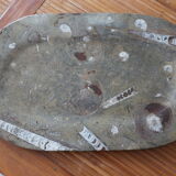 Fossil natural stone top