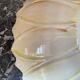 Sunflower slip dish drainer