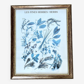 Botanical board frame