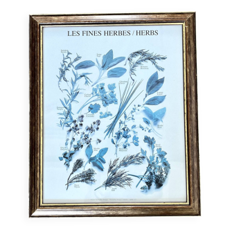 Botanical board frame