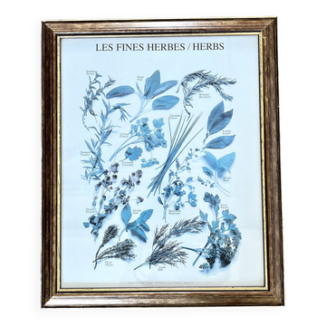 Botanical board frame