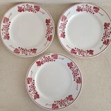 Set of five iron earth plates