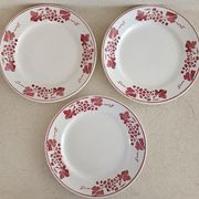 Set of five iron earth plates
