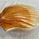 Terrine Caugant slurry scallops