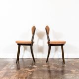 Model No. 124 Dining Chairs by Helena & Jerzy Kurmanowicz, 1960s, Poland, Set of 5