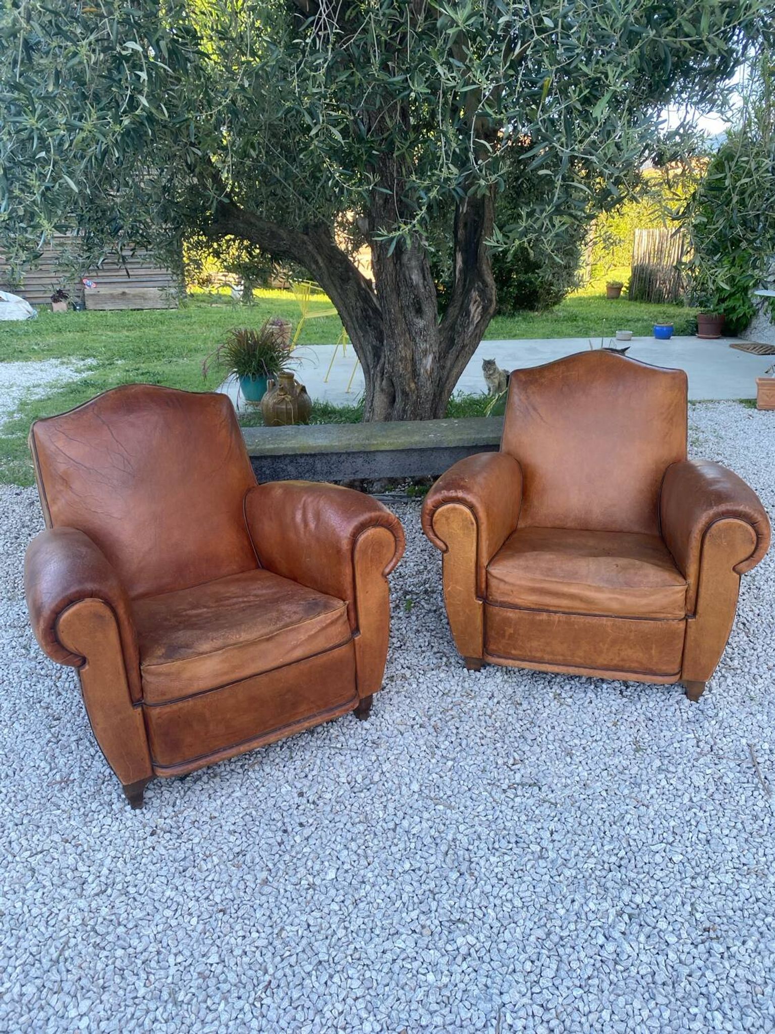 Paire de fauteuils club