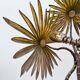 Palm tree floor lamp in brass, Italy 1970