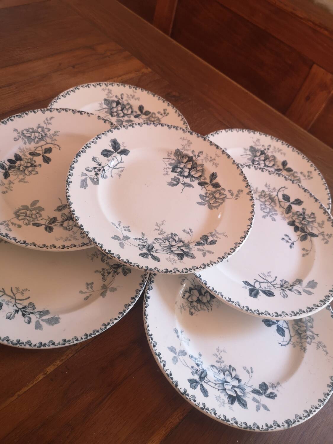 Lot de 7 assiettes plates.