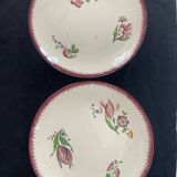 12 Digoin Sarreguemines "Strasbourg" pattern dinner plates