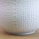 Vase Royal Porzellan Bavaria KPM, Grand Biscuit PorcelaModèle 5030/19