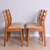 Set of four Casala chairs, Germany, 1960s