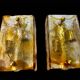 Mazzega two-tone glass wall sconces, Italy 1970