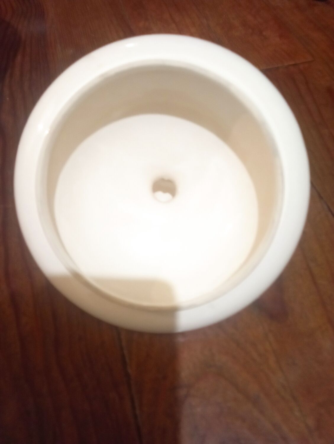 Anthemis nobilis apothecary pot st clement earthenware