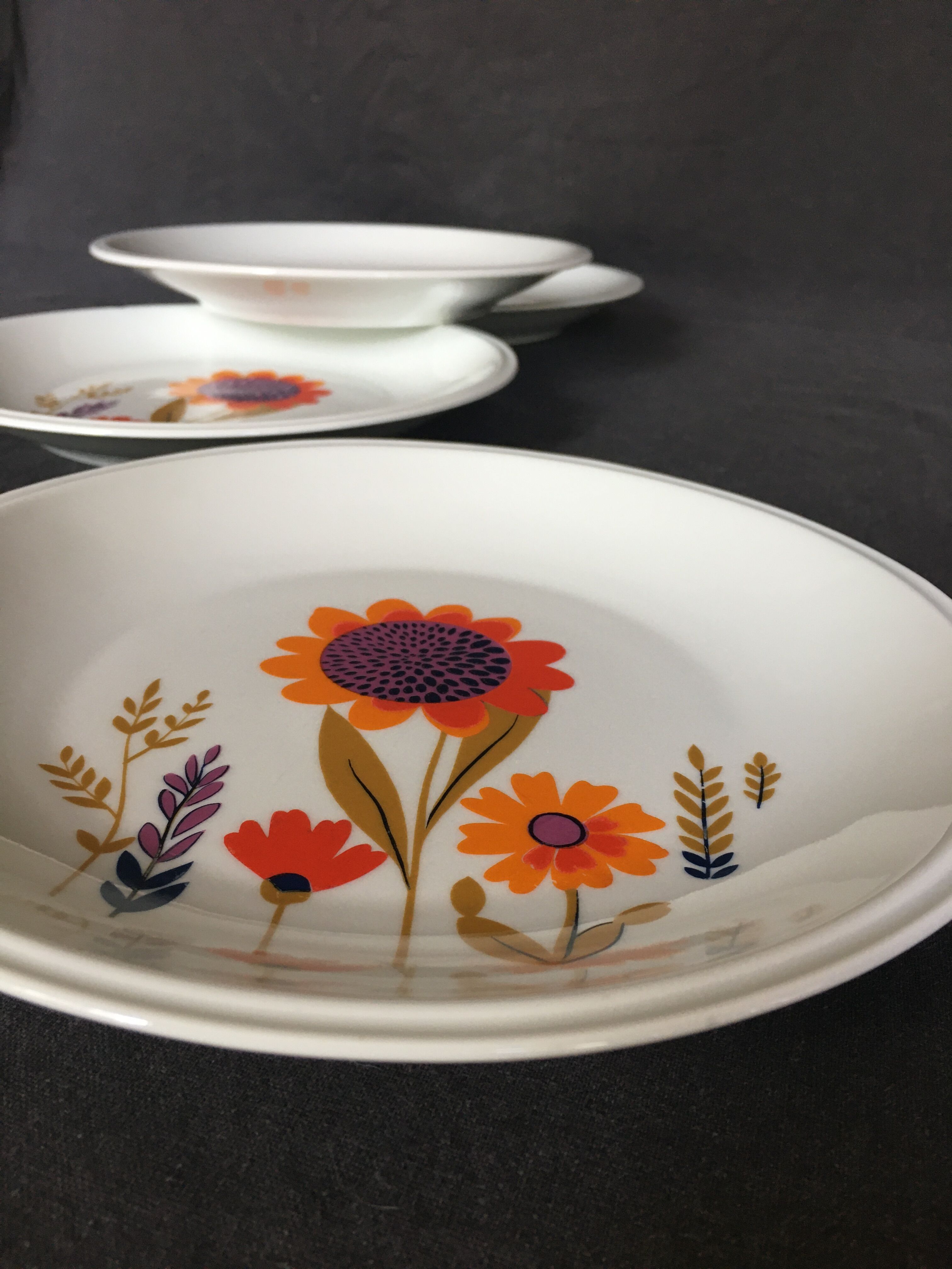 Sologne Porcelain Pop Flat Plates