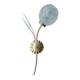 Pair of brass and glass sconces