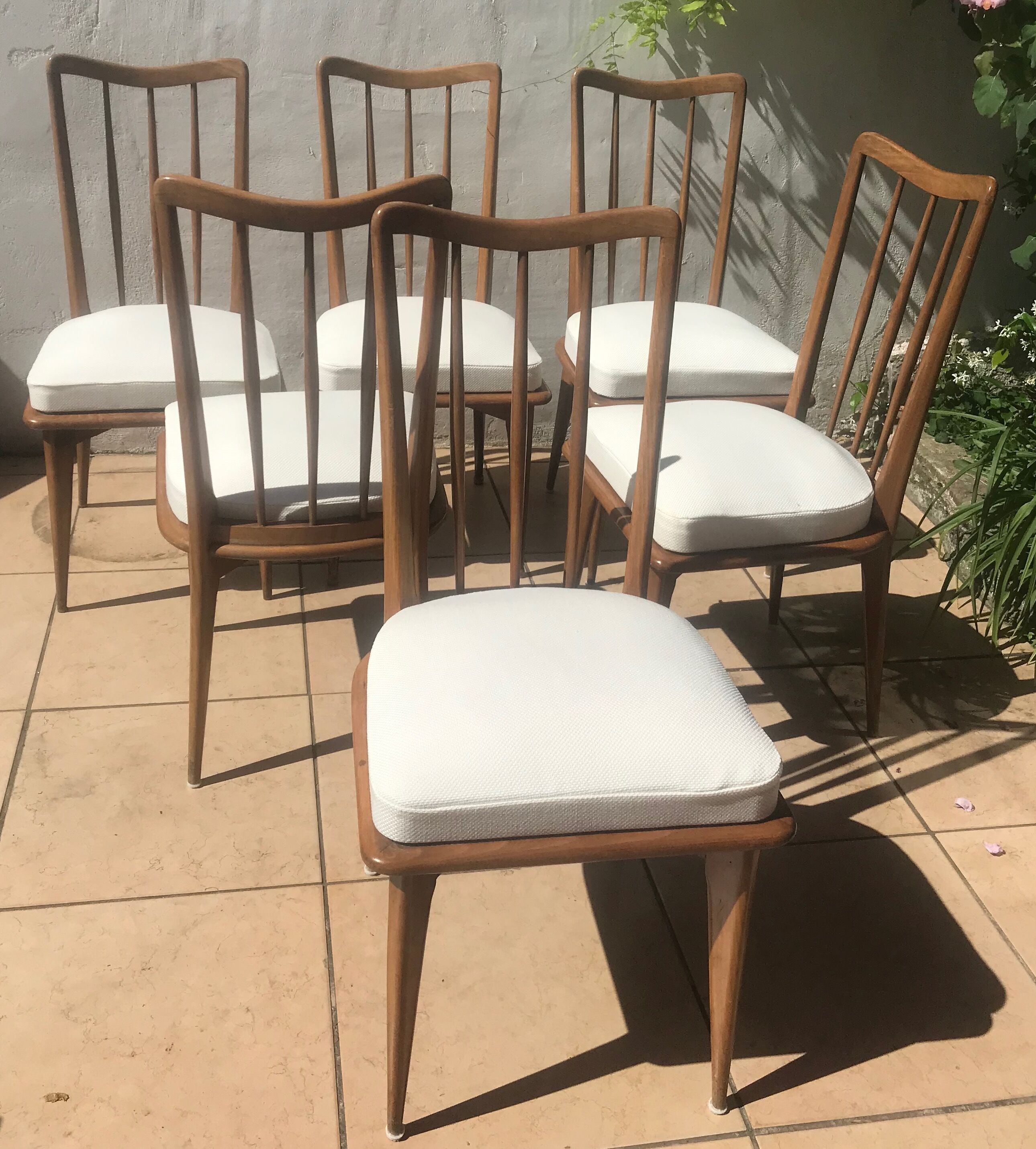 6 charles ramos chairs - 50s/60s