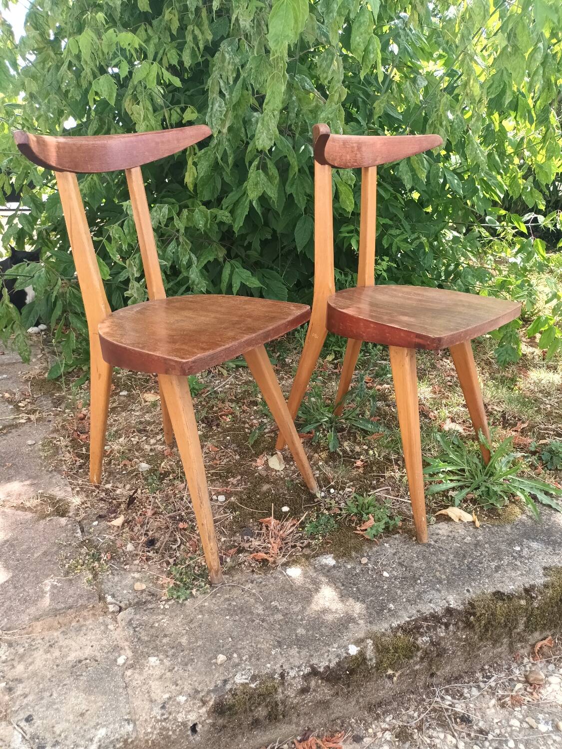 Stella Antelope Chairs