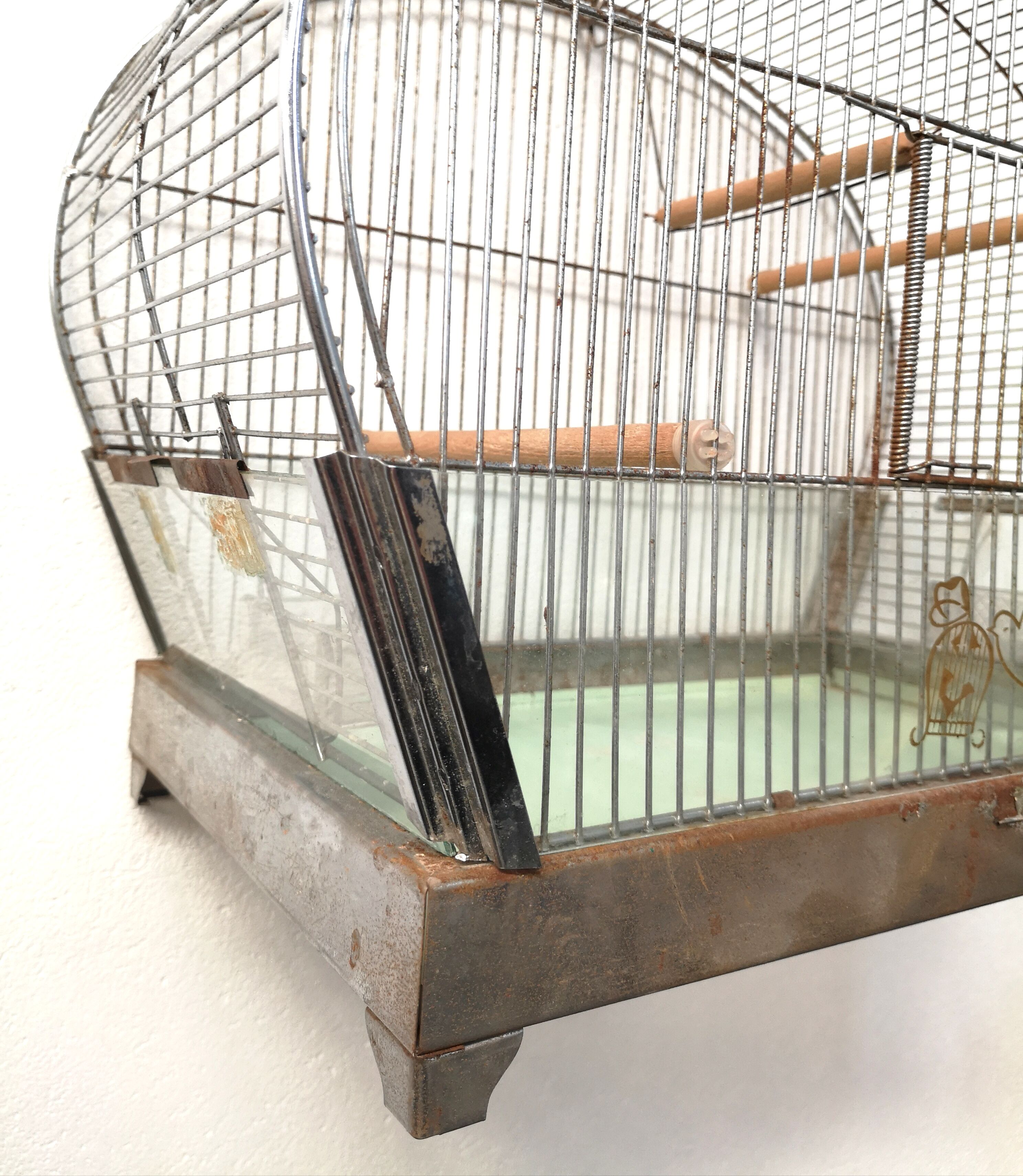30 year old bird cage