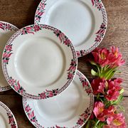 Set of 6 antique flat plates - Saint Amand Céranord