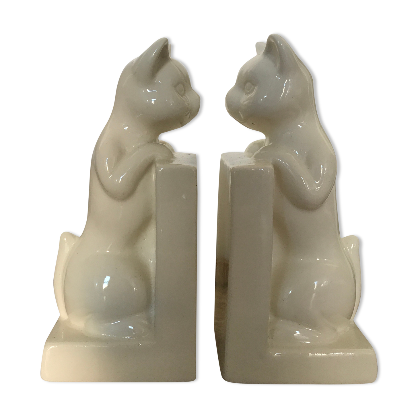 Pair of greenhouses book cat