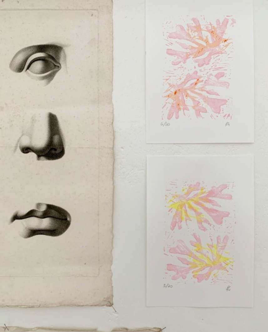 Flushed Pinky Yellow Seaweed Flashes