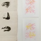 Illustration Flushed Pinky Yellow Seaweed Flashes